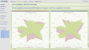 NIST CSF Self Audit Beispiel